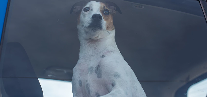 Car Lockout Solutions in Oceanside, California